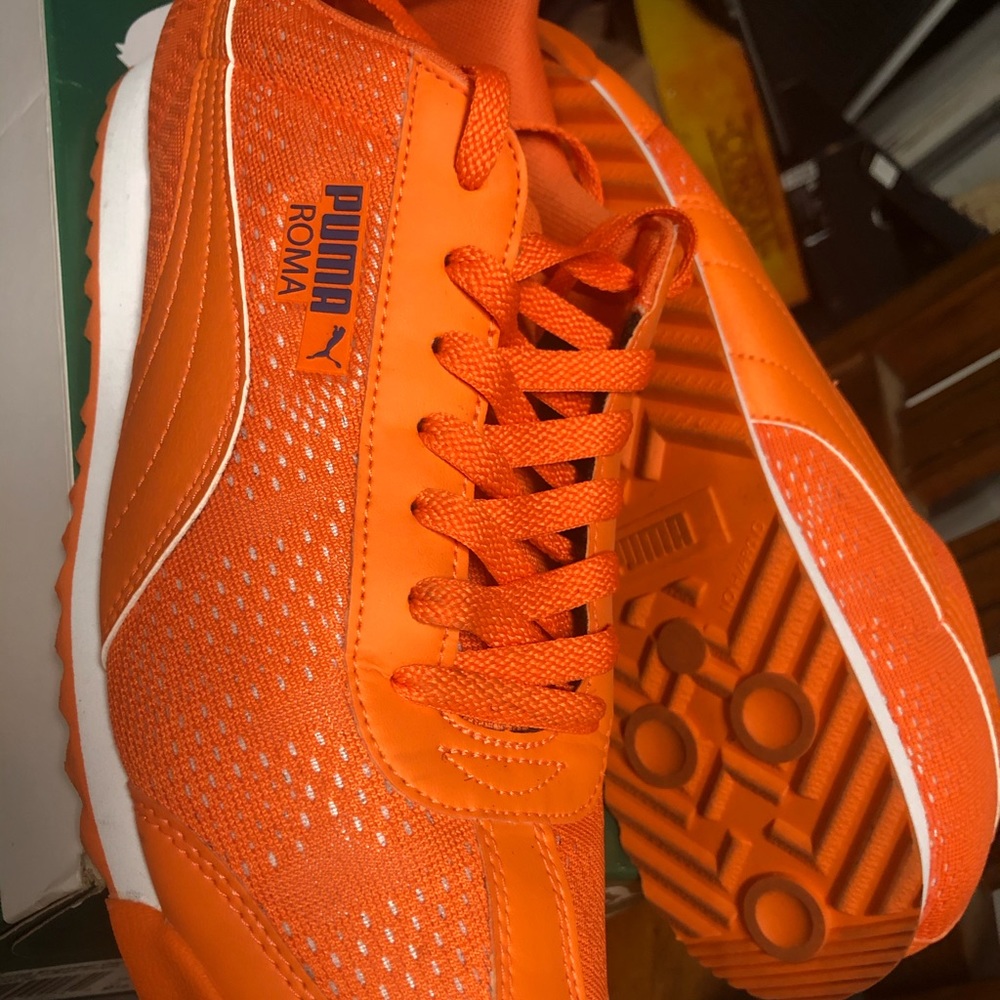 Puma Roma